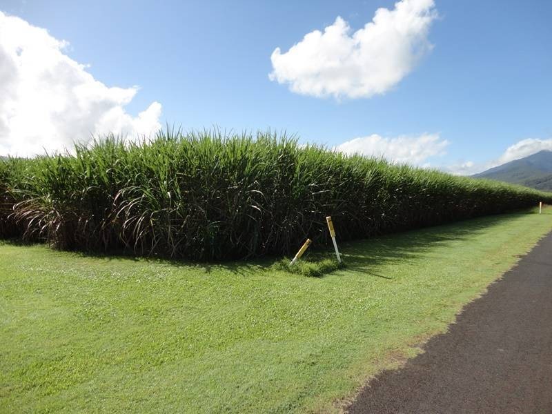 Anderson Road, Aloomba QLD 4871