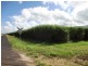 Anderson Road, Aloomba QLD 4871