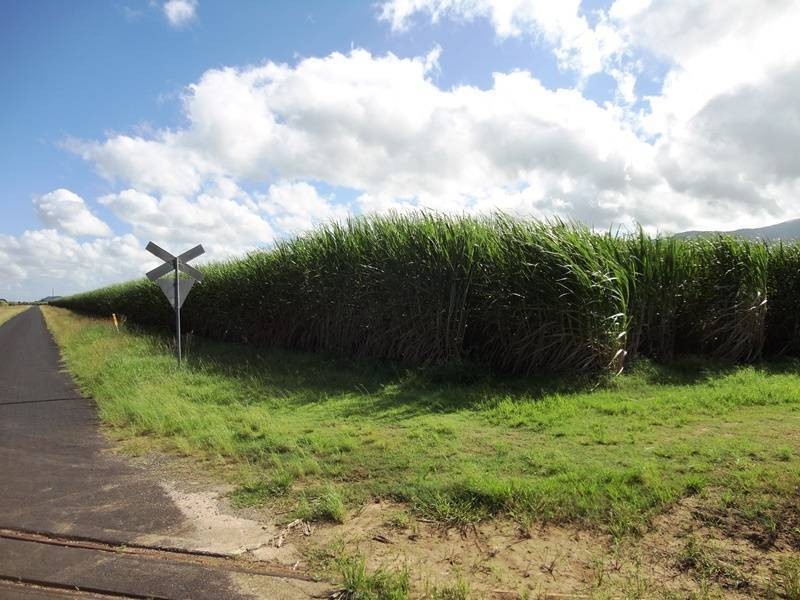 Anderson Road, Aloomba QLD 4871