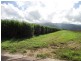 Anderson Road, Aloomba QLD 4871