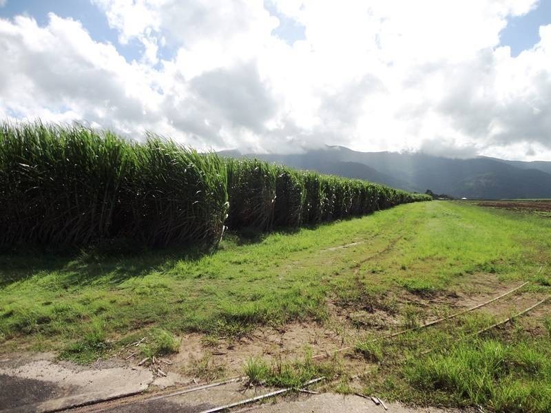 Anderson Road, Aloomba QLD 4871