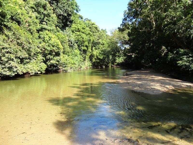 Anderson Road, Aloomba QLD 4871