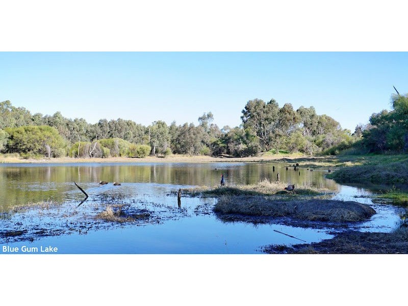 Mount Pleasant WA 6153