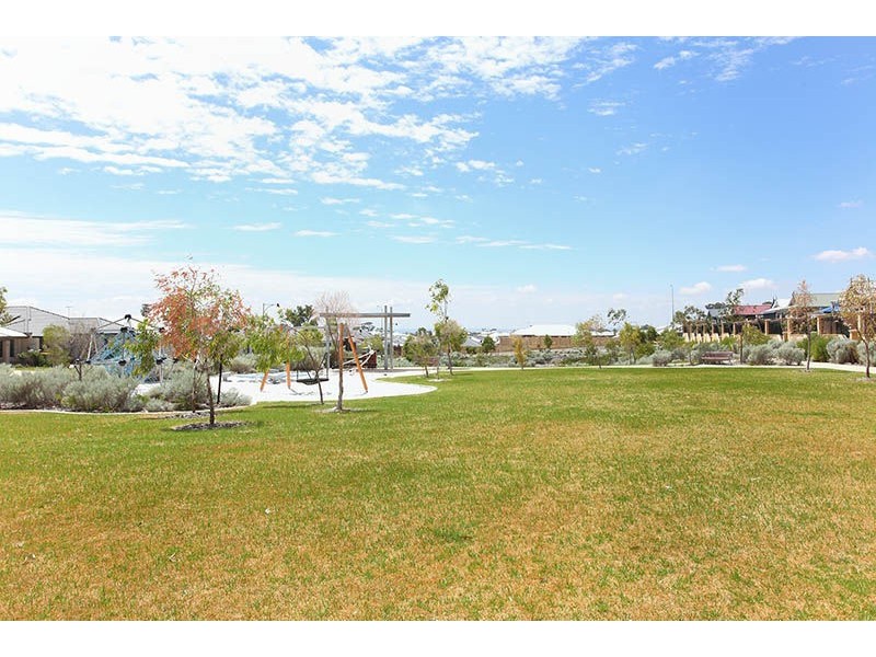 29 Bluebill Lane, Baldivis WA 6171