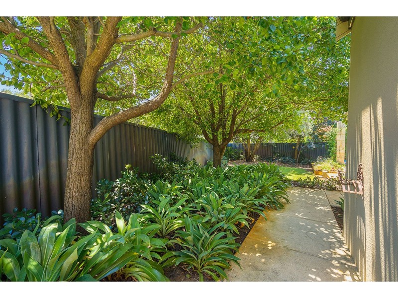 Mount Pleasant WA 6153