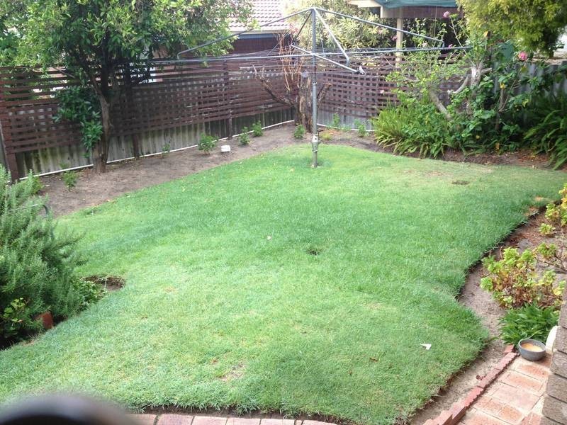 19 Rankin Way, Booragoon WA 6154