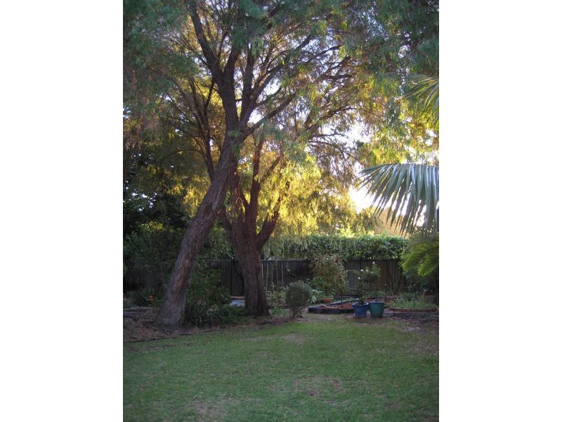 47 Rosebery Street, Bayswater WA 6053