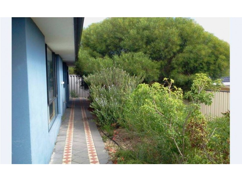 19 Redruth Court, Yanchep WA 6035