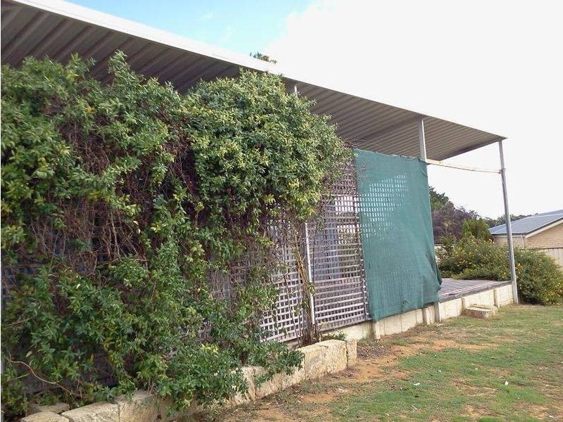 19 Redruth Court, Yanchep WA 6035