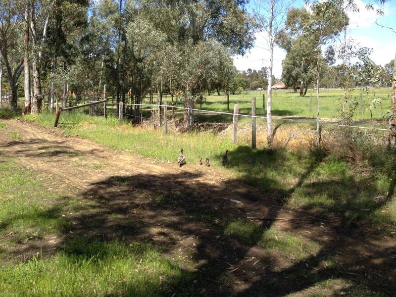 51 Victoria Road, Kenwick WA 6107