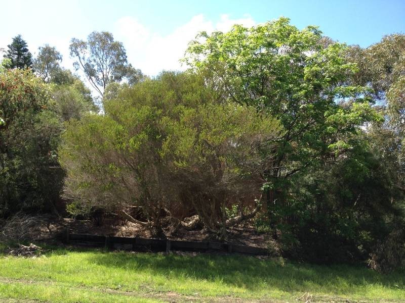 51 Victoria Road, Kenwick WA 6107