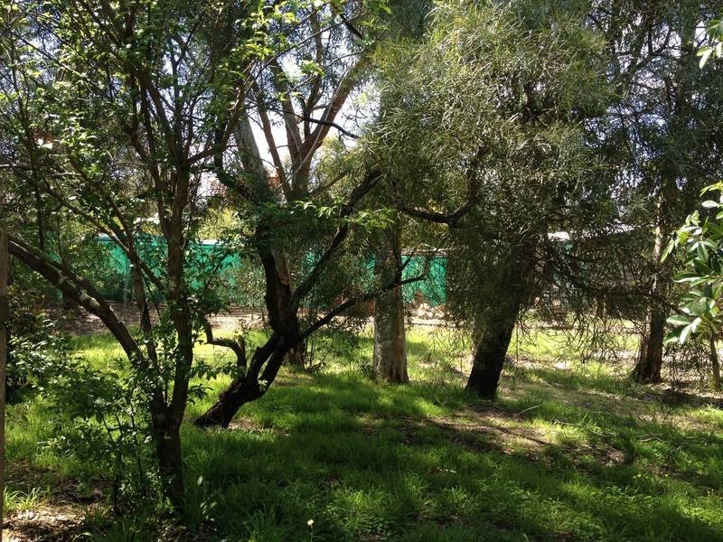 51 Victoria Road, Kenwick WA 6107