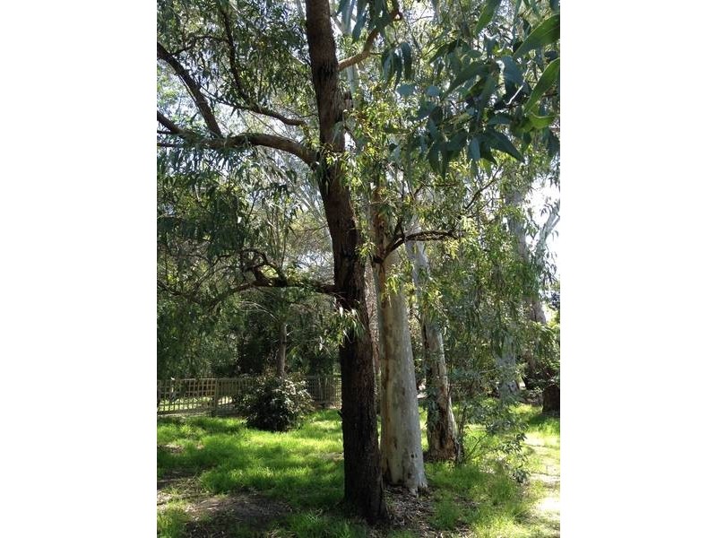 51 Victoria Road, Kenwick WA 6107