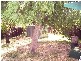 2 Solquest Way, Cooloongup WA 6168