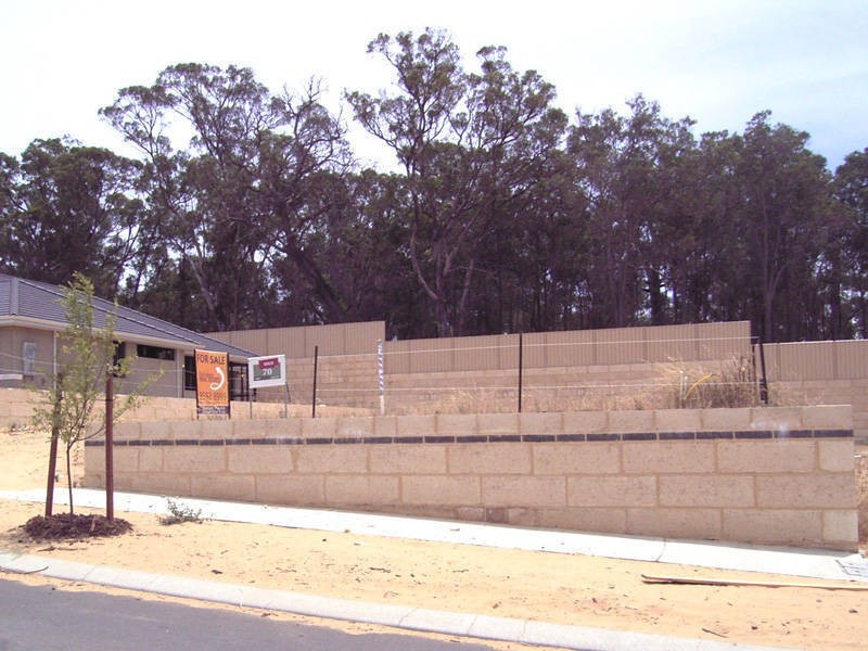 8 Tribute Vista, Baldivis WA 6171
