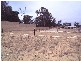 8 Tribute Vista, Baldivis WA 6171