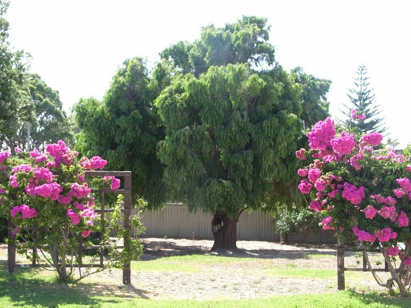 2 Boundary Road, Shoalwater WA 6169