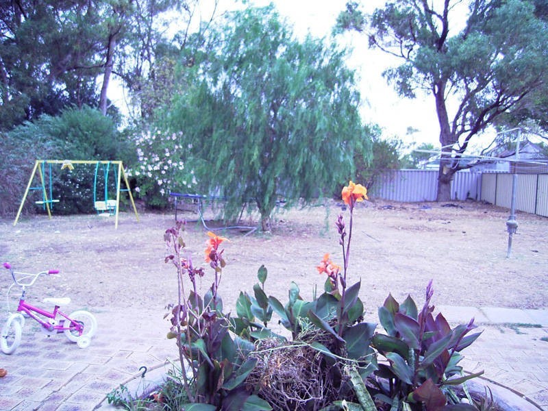 35 Jecks Street, Rockingham WA 6168