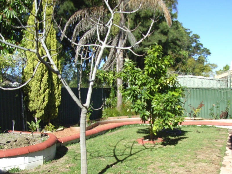 14 Auriga Close, Rockingham WA 6168