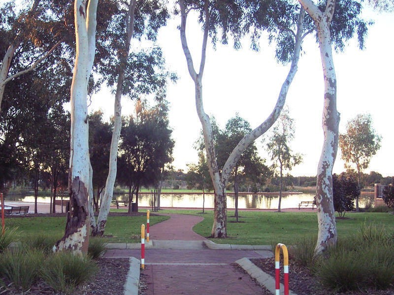 20 Rivergums Boulevard, Baldivis WA 6171