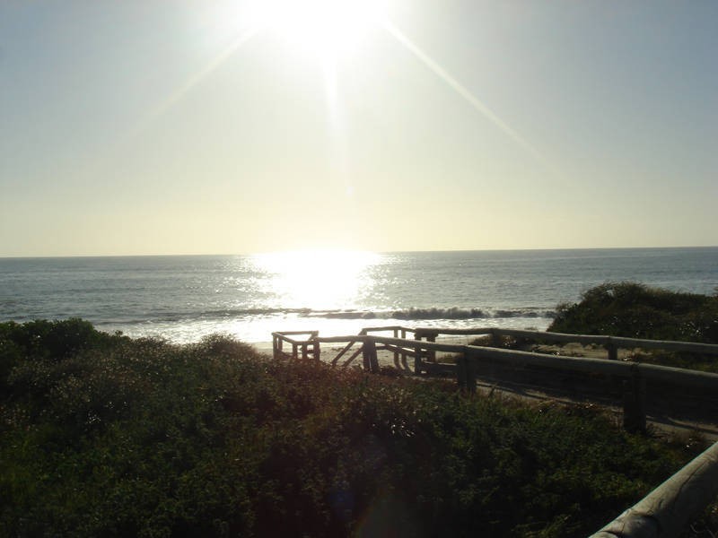 9 Virginia Turn, Madora Bay WA 6210