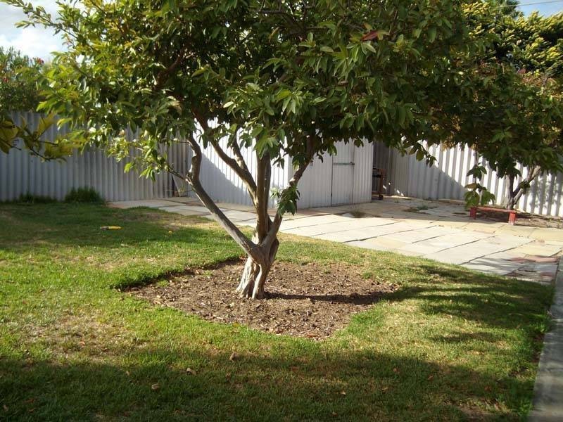 2 Mataitai Loop, Cooloongup WA 6168