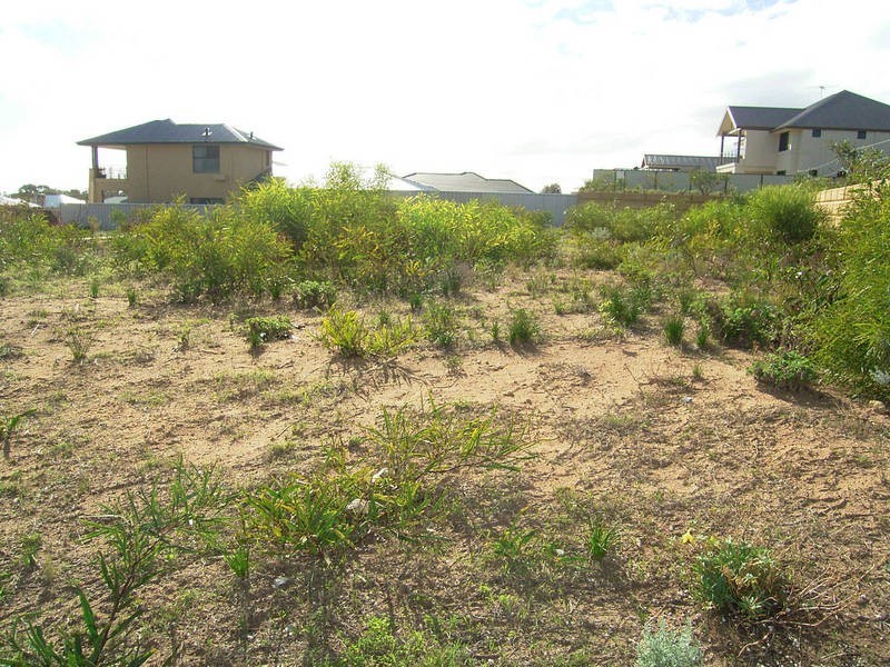 19 Lookout Vista, Singleton WA 6175