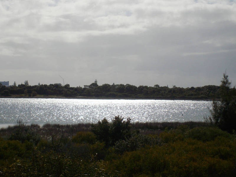 59 Safety Bay Road, Shoalwater WA 6169