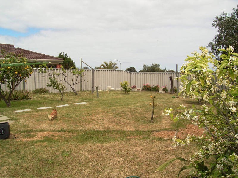 2 Pallarup Grove, Waikiki WA 6169