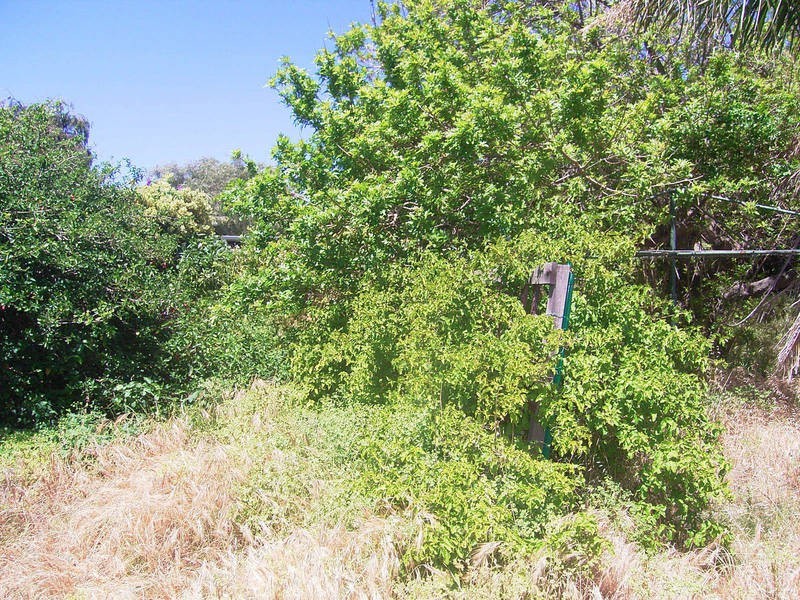 12 Fourth Avenue, Shoalwater WA 6169