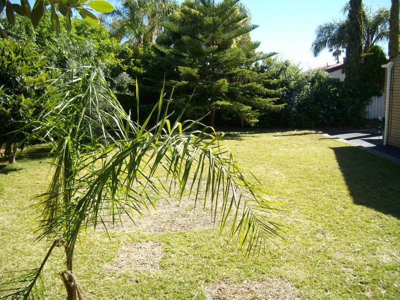 46 Council Avenue, Rockingham WA 6168