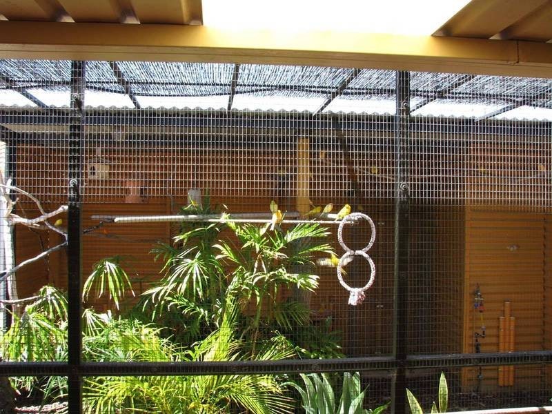 10 Kentia Way, Warnbro WA 6169