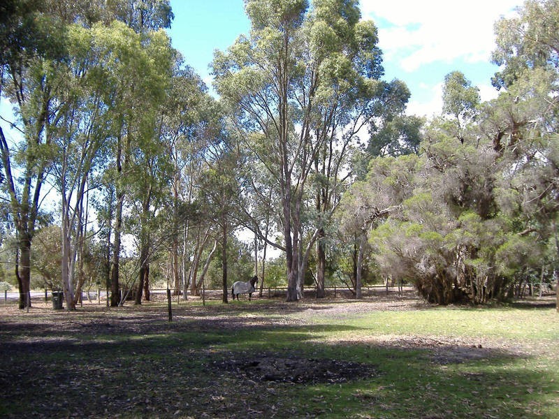 317 Mortimer Road, Casuarina WA 6167