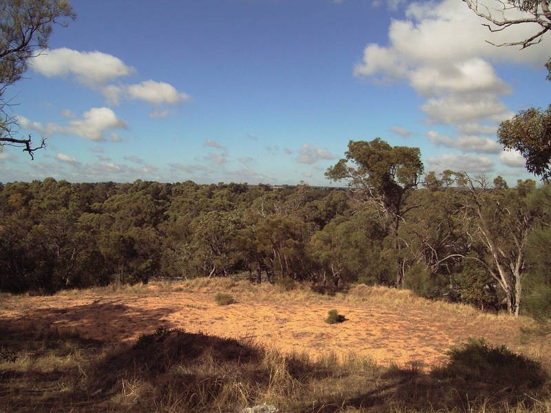 11  Treetop Way, Baldivis WA 6171