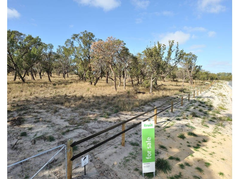 5 Neville Road, Baldivis WA 6171