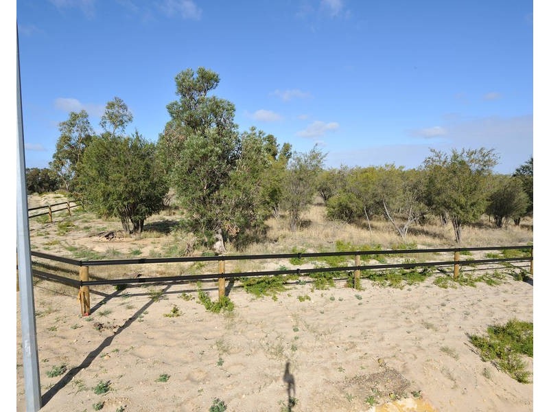 20 Horsfall Road, Baldivis WA 6171