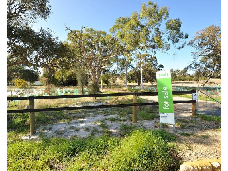 2 Horsfall Road, Baldivis WA 6171