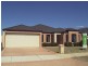 17 Oleander Avenue, Shoalwater WA 6169