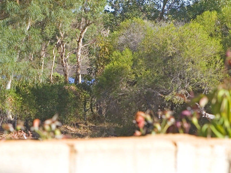 3/50 Aldridge Road, Booragoon WA 6154