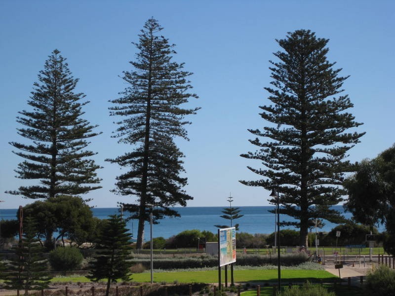 25 Keeling Wy, South Fremantle WA 6162