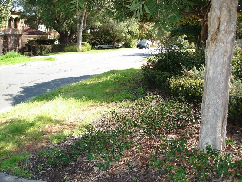 21 The Promenade, Mount Pleasant WA 6153