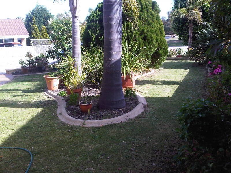 45 Hanrahan Loop, Kardinya WA 6163