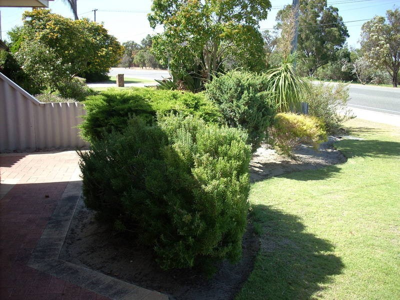 44 Bibra Drive, Bibra Lake WA 6163