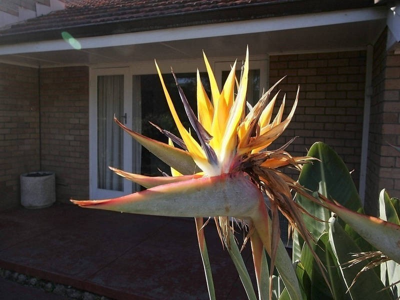 34 Sergeant Road, Melville WA 6156