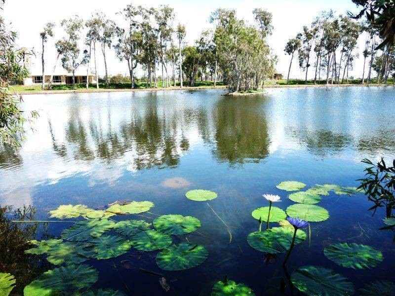 25 Sirenia Dr, Burrum Heads QLD 4659