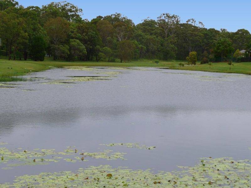 5 Florida Crt, Torquay QLD 4655