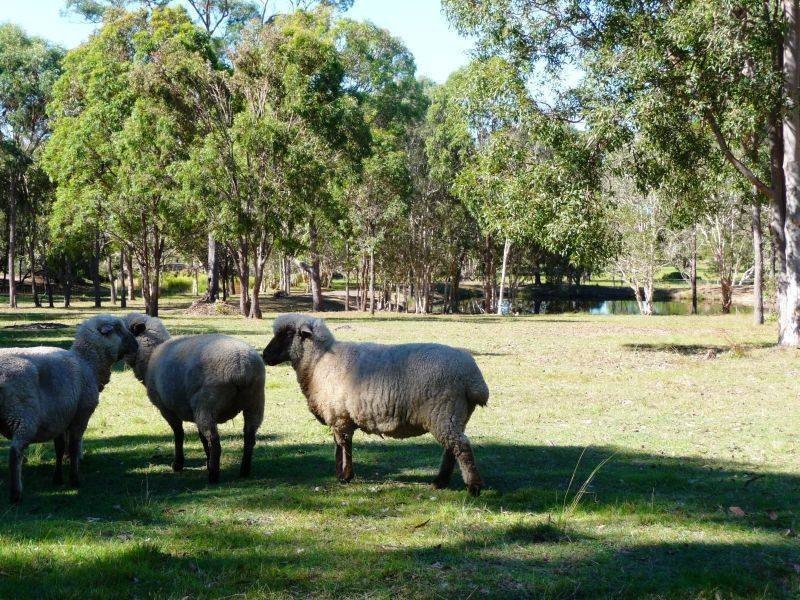 87 Condor Dr, Sunshine Acres QLD 4655