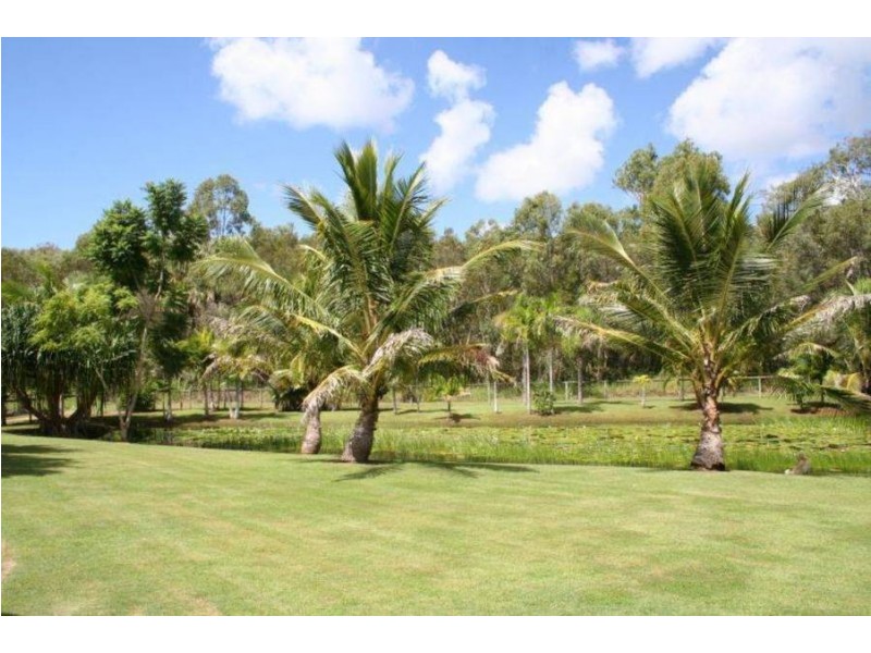 19 Belmoreana Court, Dundowran Beach QLD 4655