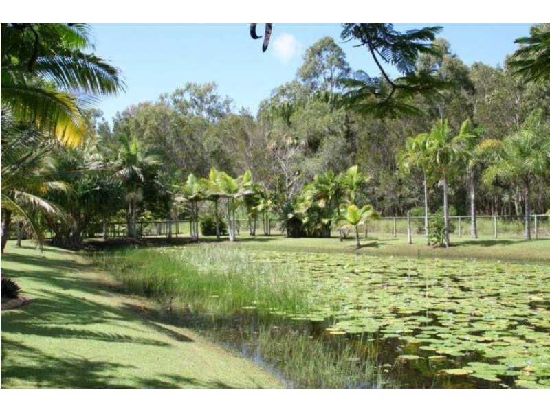 19 Belmoreana Court, Dundowran Beach QLD 4655