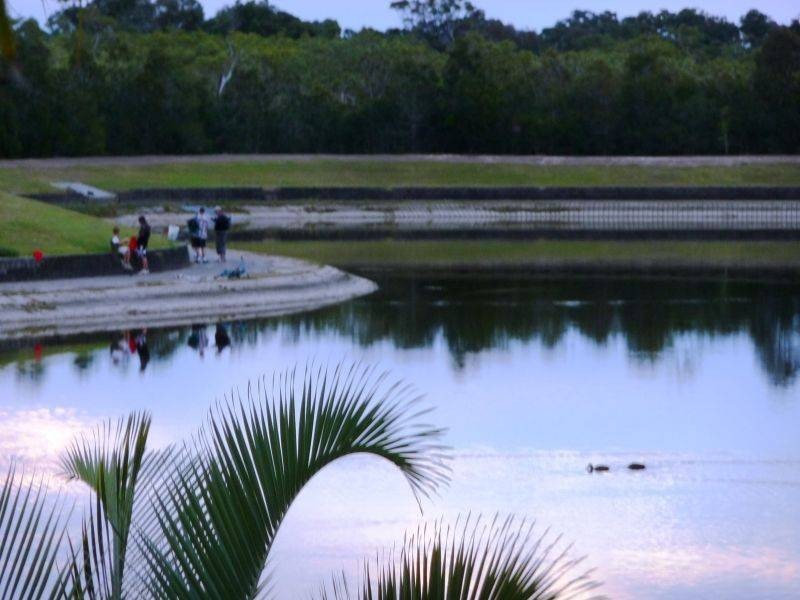 11 Currawong Crt, Eli Waters QLD 4655